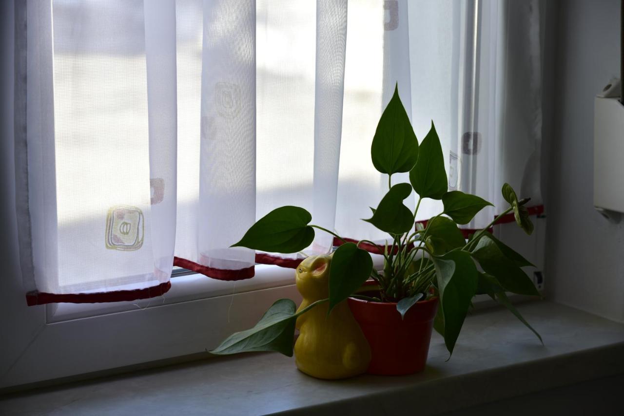 Primula Apartment Blejska Dobrava ภายนอก รูปภาพ
